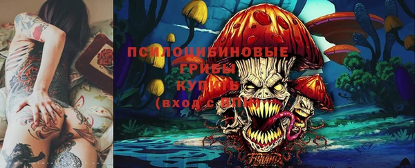 прущие грибы Алзамай